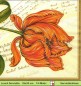Preview: Tulpe auf Noten - 1 Lunch Serviette